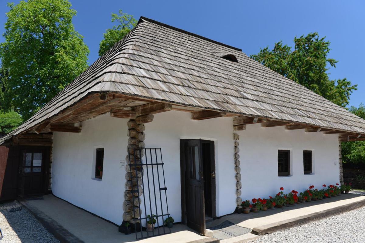 Humulesti Casa Jeni 빌라 외부 사진