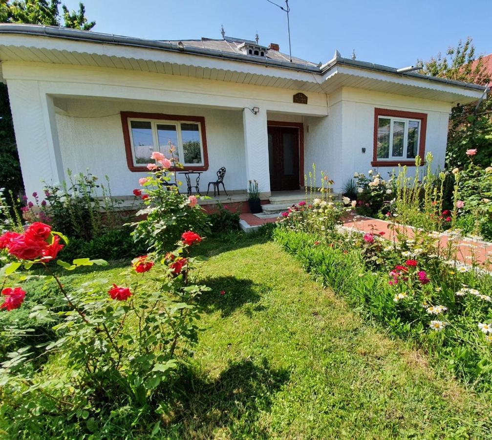 Humulesti Casa Jeni 빌라 외부 사진