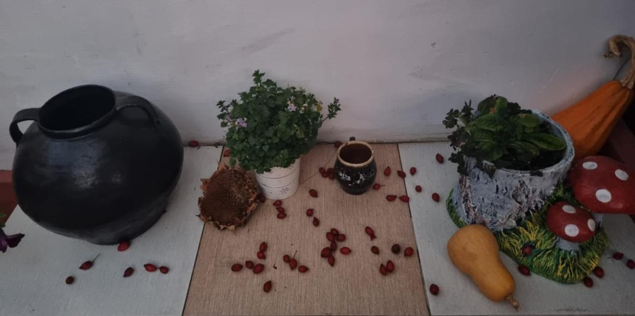 Humulesti Casa Jeni 빌라 외부 사진
